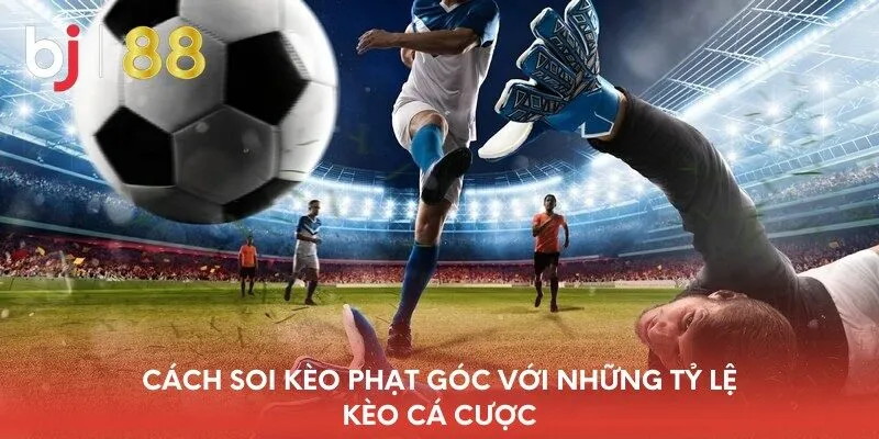 cach-soi-keo-phat-goc-voi-nhung-ty-le-keo-ca-cuoc