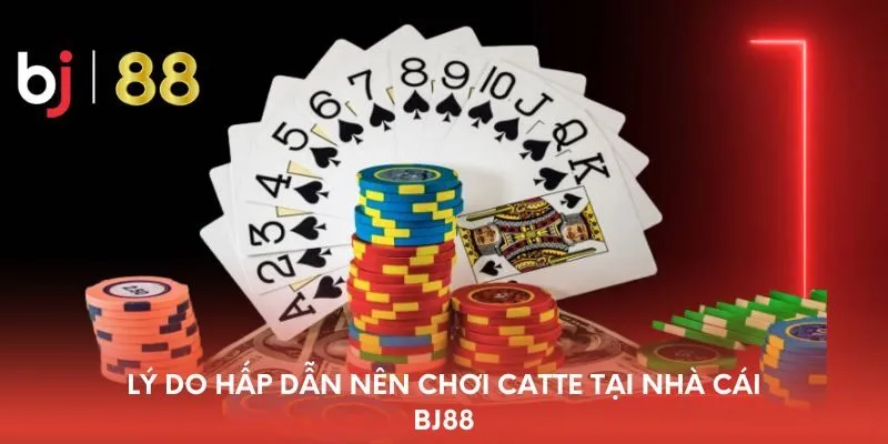 ly-do-hap-dan-nen-choi-catte-tai-nha-cai-bj88