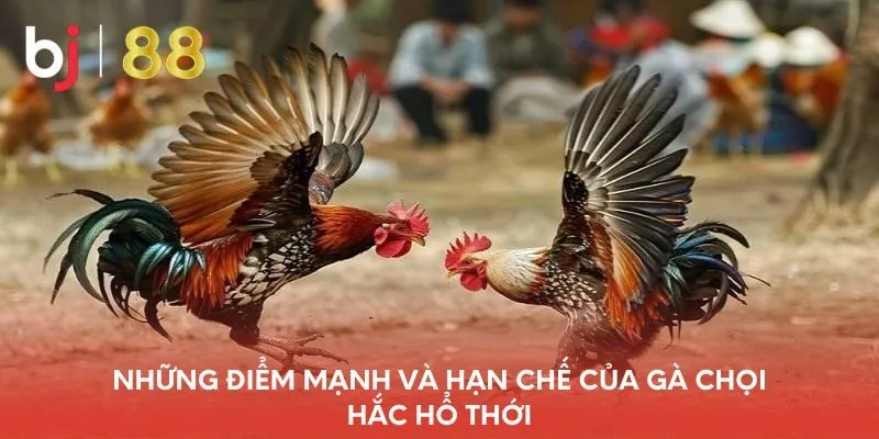 nhung-diem-manh-va-han-che-cua-ga-choi-hac-ho-thoi