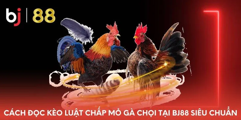 cach-doc-keo-luat-chap-mo-ga-choi-tai-bj88-sieu-chuan
