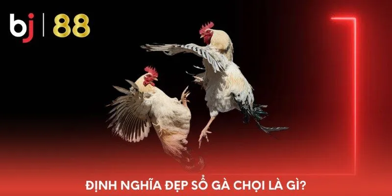 dinh-nghia-dep-so-ga-choi-la-gi