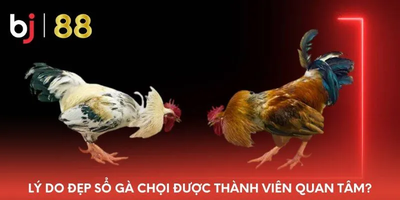 ly-do-dep-so-ga-choi-duoc-thanh-vien-quan-tam