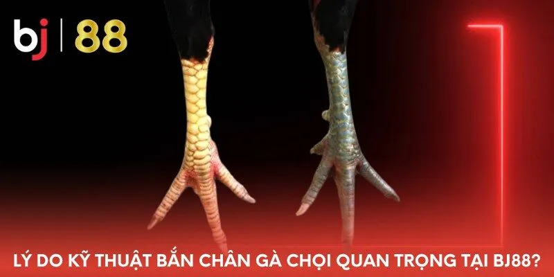 ly-do-ky-thuat-ban-chan-ga-choi-quan-trong-tai-bj88